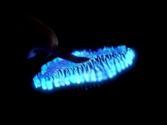 Heng Cheng Electronics Technology (HK) Co., Ltd. ist ein Unternehmen der Schweiz.